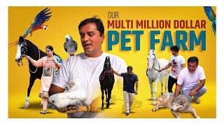 KOLHAPURâ€™S BIGGEST PET FARM Horses Dogs Birds [upl. by Issej]