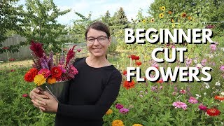 Cut Flower Garden for Beginners  From Seed to Bouquet [upl. by Homovec836]