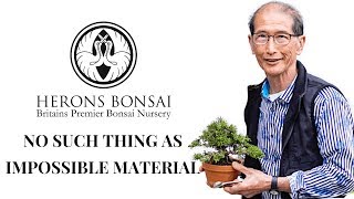 How to make Bonsai from Impossible Material [upl. by Donella]