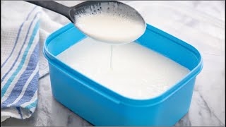 How to Make Yogurt From Scratch With Just 3 Ingredients  BONUS BREAKFAST RECIPE  ZEELICIOUS FOODS [upl. by Otter]