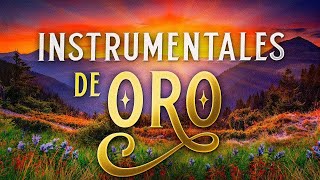 Musica Instrumental de Oro Para Escuchar Grandes Hits Instrumentales [upl. by Suolevram73]