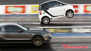 WILD WHEELSTANDING BLOWN SMART CAR GIVES SHELBY MUSTANG A SCARE [upl. by Odnala]