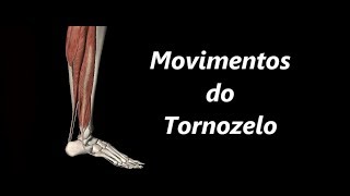 Movimentos do Tornozelo em 3D [upl. by Allerim893]