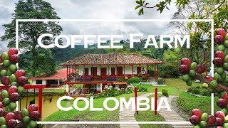 Colombia Coffee Farm  Visiting a coffee plantation in Salento [upl. by Aigroeg]