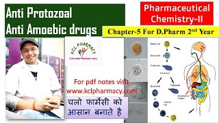 Anti Protozoal  Anti Amoebic drugs  Pharmaceutical ChemistryII  Chapter 4 I DPharm 2nd Year [upl. by Bond]