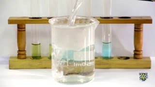 Food Tests  Iodine Biuret Benedicts Ethanol DCPIP [upl. by Markowitz]