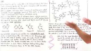 Introduction to DNA [upl. by Sido131]