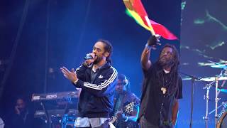 DAMIAN MARLEY  SABALI  THE ENDS FESTIVAL 2019 [upl. by Purdum122]