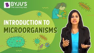 Microorganisms Introduction [upl. by Gass]