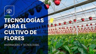 INVERNADERO DE FLORES  Toda la Tecnología para el Riego y Control de Clima [upl. by Thevenot]