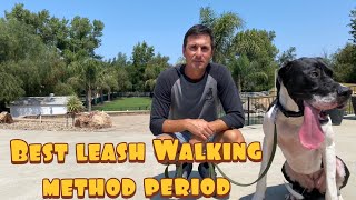 Fastest loose leash walking method Guaranteed [upl. by Seravat534]