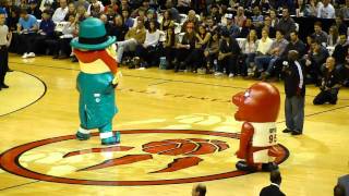 Raptors and Celtics Mascot DanceOff [upl. by Ettesil381]