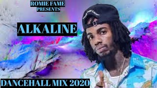 ALKALINE DANCEHALL MIX CLEAN DEC 2020 [upl. by Piderit]