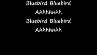 Bluebird  With Lyrics  Paul McCartney amp Wings [upl. by Rehpotsrihc]