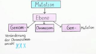 Mutation von Genen  Biologie  Genetik [upl. by Wallis673]