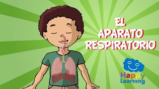 EL APARATO RESPIRATORIO  Videos Educativos para Niños [upl. by Gnahc]