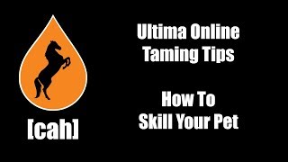 Ultima Online  UOCAH Taming Tips  How To Skill Your Pet [upl. by Oretna]