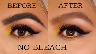 How to lighten your eyebrows at home  NO BLEACH [upl. by Maitland]