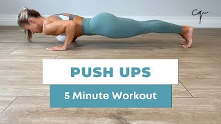 5 Minute Push Ups Workout at Home [upl. by Mose889]