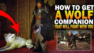 How To Get A Wolf Companion That Will Fight With You Assassins Creed Valhalla Secret Abilities [upl. by Ilona559]