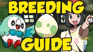 POKEMON SUN AND MOON BREEDING GUIDE Best Pokemon Sun and Moon IVs and Hidden Ability Breeding [upl. by Serles]