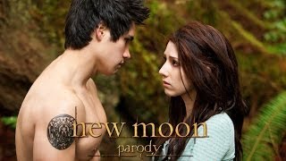 New Moon Parody by The Hillywood Show™ [upl. by Niuqauj]