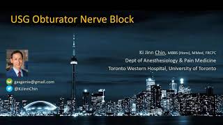 USG Obturator Nerve Block [upl. by Ataynik]