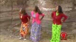 Ethiopian Music  Taddalaa Gammachuu  Raada Raadaa [upl. by Schiff]