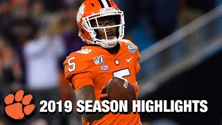 Tee Higgins 2019 Season Highlights  Clemson WR [upl. by Ahsienahs934]