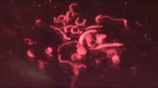 Parasitic Schistosoma haematobium Worms [upl. by Ursas462]