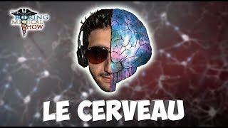 ANATOMIE  LE CERVEAU 🧠 [upl. by Simara]