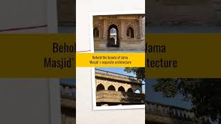 Things to do in Chanderi  Chanderi  Madhya Pradesh [upl. by Sirama118]