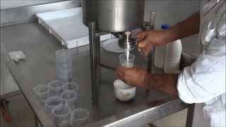 YOGURT MAKER FOR MINI DAIRY HOW TO MAKE YOGURT [upl. by Glogau70]