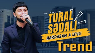 Tural Sedali  Hardasan A Leyli Leyli 2023 Resmi Musiqi [upl. by Mahalia61]