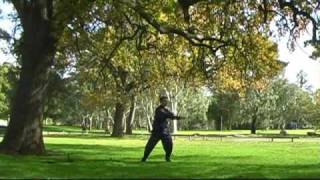 18 Forms Tai Chi Qigong shi ba shi Beginners Introductory Full Form [upl. by Maxim99]