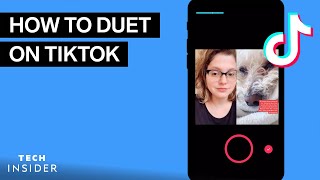 How To Duet On TikTok [upl. by Nonad]