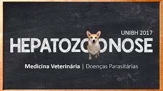 Hepatozoonose  UNI BH [upl. by Eniac]