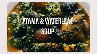 Atama and Waterleaf Soup [upl. by Danuloff]