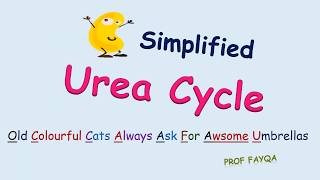 Urea Cycle Mnemonics [upl. by Alleen]