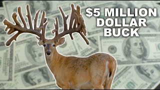 Multi Million Dollar Buck at Blackjack Whitetails [upl. by Kawasaki]