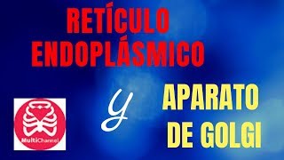 Retículo endoplásmico y aparato de Golgi [upl. by Ieso]