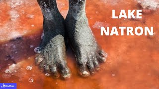 Discover Lake Natron The Lake that Turns Animals to Stones [upl. by Adna]