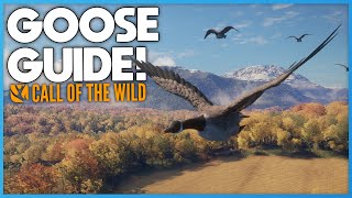 Goose Hunting Guide  Call Of The Wild Tips amp Locations [upl. by Aiynat]