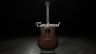 Tanglewood TWCR DE Crossroads Electro Acoustic Whiskey Burst  Gear4music demo [upl. by Kajdan]