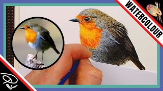 How to Paint Realistic Bird Feathers in Watercolor Robin Painting [upl. by Erialb]