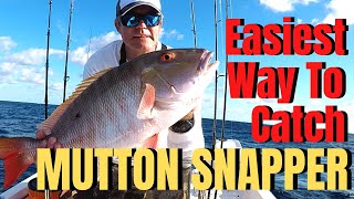 How To Catch MUTTON SNAPPER the easiest way RIG BAIT DRIFT FISHING BASICS amp TACTICS [upl. by Vina]