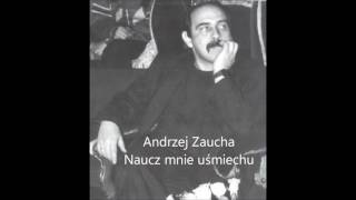 Andrzej Zaucha  Naucz mnie uśmiechu [upl. by Yenffad]