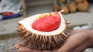 How To Eat A Durian AKA The King Of Fruits [upl. by Tsenrae]