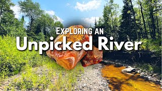 Unpicked River full of Treasure  Finding Lake Superior Agates Amethyst Jasper amp Other Minerals [upl. by Noryk]