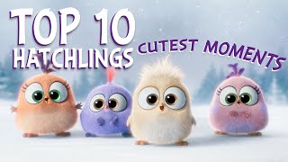 Angry Birds  Top 10 Hatchlings Cutest Moments [upl. by Kcirrad]